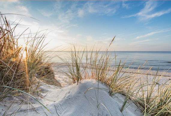 Ein idyllischer Strandblick durch Dünen mit sandigem Pfad, wogendem Gras und einem ruhigen Horizont.