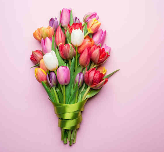 Ein buntes Blumenstrauß aus Tulpen in Rosa-, Lila- und Weißtönen, gebunden mit grünem Band, auf einem pastellrosa Hintergrund.