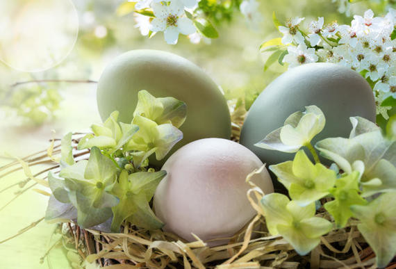 Drei farbige Ostereier in einem Nest aus Stroh, umgeben von Blumen und grünen Blättern.
