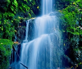 Eine majestätische Wasserfallkaskade fließt durch üppiges grünes Moos und Vegetation.