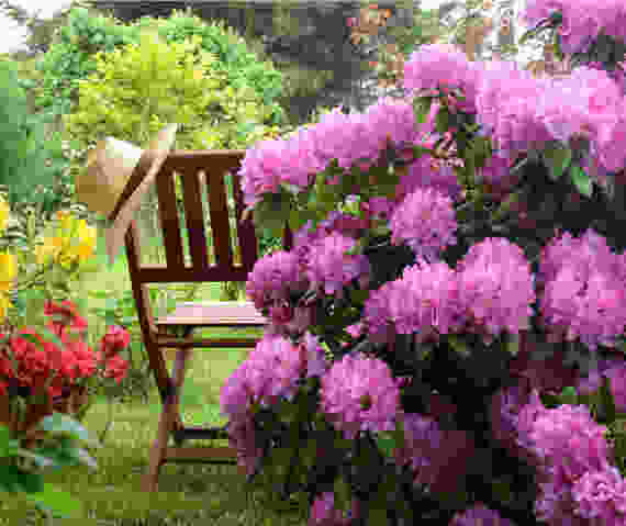 Ein gemütlicher Garten mit einer Holzschaukel, auf der ein Strohhut liegt, umgeben von blühenden Blumen und grünen Pflanzen.