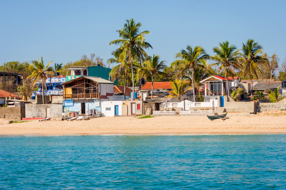 Ein idyllischer Strand mit Palmen, einigen Häusern und einem klaren Meer im Vordergrund.