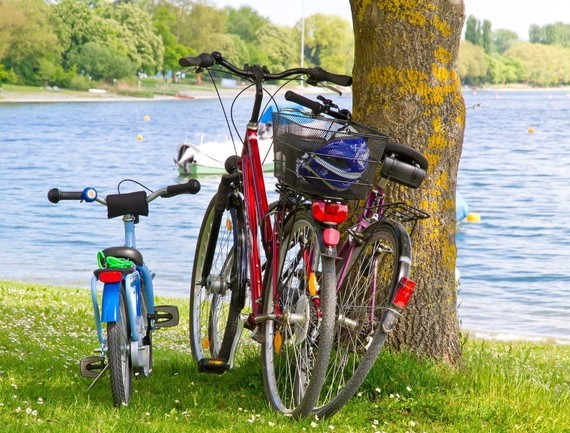 Zwei Fahrräder sind an einem Baumstamm geparkt, im Hintergrund ist ein See mit einem Schwimmer zu sehen.