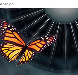 Eine Monarchfalter mit orangefarbenen Flügeln und schwarzen Streifen fliegt vor einem dunklen, radial gestreiften Hintergrund.