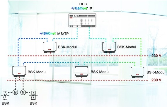 Ein Diagramm zeigt eine Netzwerkarchitektur mit mehreren BSK-Modulen, die über ein MS/TP-Protokoll mit einem DDC-Controller verbunden sind, wobei alle Module an eine 230-V-Netzspannung angeschlossen sind.