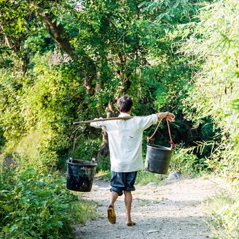 Eine Person trägt zwei Eimer auf einem Stab über den Schultern und läuft auf einem Pfad durch einen grünen Wald.
