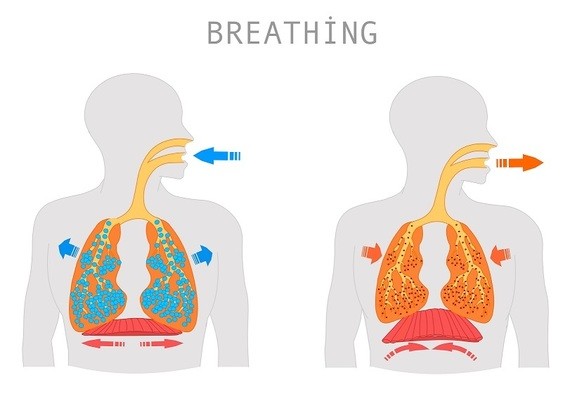 Feuchte Atmung