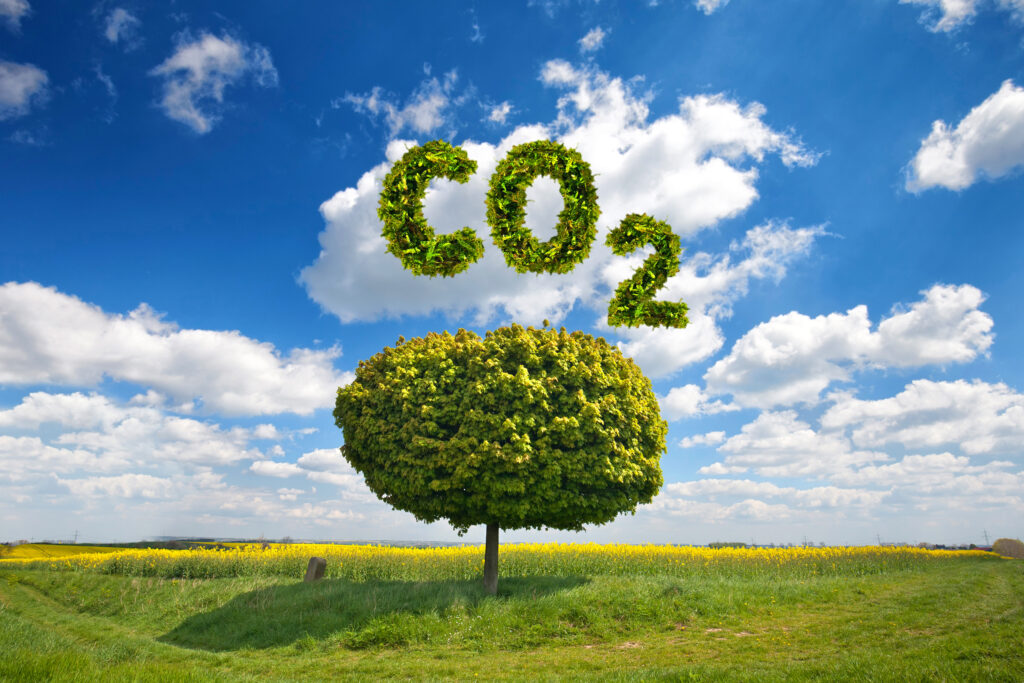 69 deutsche Unternehmen appellieren an die künftige Bundesregierung, notwendige Schritte zur Klimaneutralität zügig umzusetzen (Abb. © Jenny Sturm/stock.adobe.com)