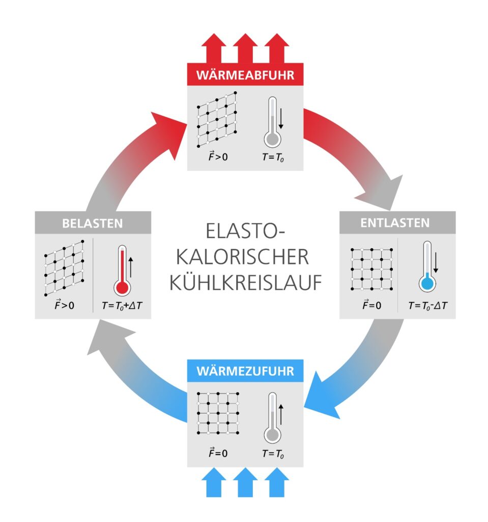 Der prinzipielle Kreislaufprozess eines elastokalorischen Systems zur Wärme-/Kälteerzeugung (Abb. © Fraunhofer IPM)